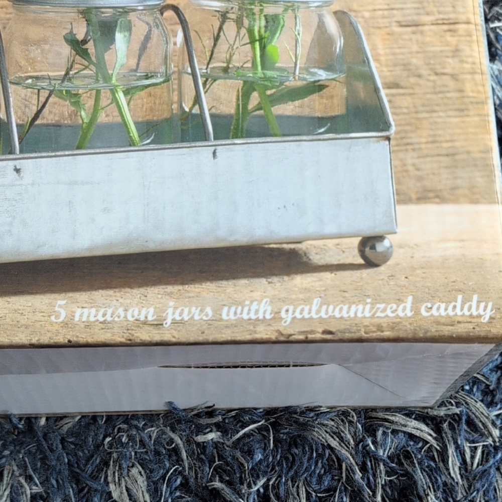 Home Essentials Silver Mason Jar Flower Holder - Picture 3 of 6
